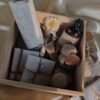 2026/01/43605-scaled.jpg Wellness Box for Her