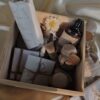 2026/01/43605-scaled.jpg Wellness Box for Her